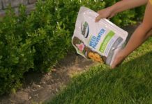 Spring Clean Your Backyard With These Simple Steps