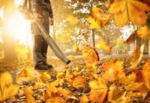 10 Clever Ways to Use a Leaf Blower