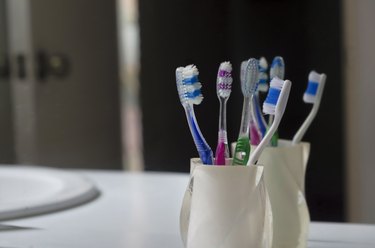 colorful toothbrushes in a toothbrush holder