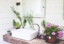 The 10 Best Bathroom-Friendly Plants