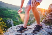 10 Common Summer Pests & How to Prevent Them