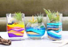 DIY Sand Art Terrarium
