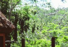 Maximum Distance Between a Breaker and a Hot Tub