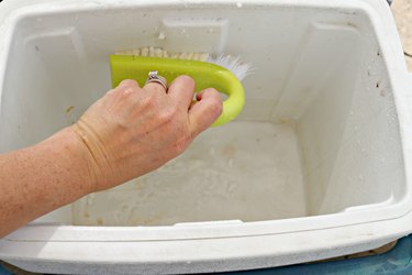 how to clean and deodorize a cooler