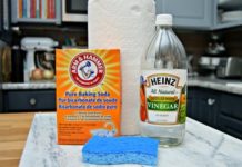 How to Remove Hard Water Stains From a Toilet Bowl