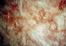 Is it Normal for Pink Batt Insulation to Turn Partially Gray?