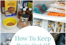 How to Keep Bugs Out of Your Pantry and Kitchen