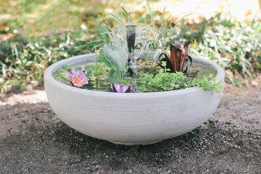 Pond in a pot