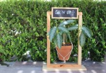 DIY Hanging Planter Sign