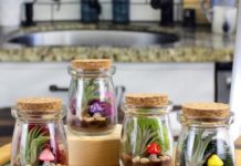 5 Beautiful DIY Terrarium Kits to Bring a Touch of Nature Indoors
