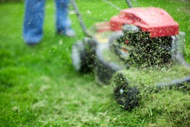 Grass clippings on lawn mower