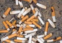 The Effects of Cigarette Ash in the Soil