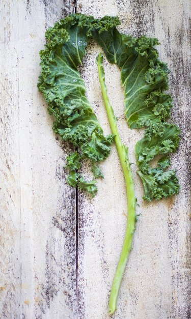 Kale Chips