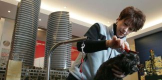 Paternity Tests and Other Businesses You Don’t Expect to See on a Truck