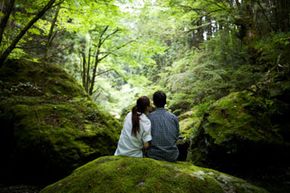 You'll find lots of moss in lush, shady areas.