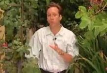 What types of perennial plants thrive in the South?