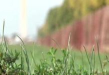 How does drip irrigation work?