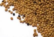 How to Remove Mustard Stains