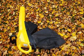 Vacuuming up leaves and other plant debris is a more precise, less noisy way of cleaning up your lawn.