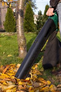 Many lawn and garden vacuums will shred leaves, too.