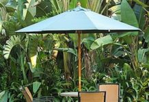 5 Tips for Creating a Tropical Backyard