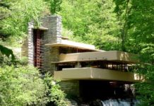 Biophilic Design: How Bringing the Outside Inside Makes You Happy