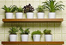 Greenify and Beautify: 3 Environmentally Friendly Home Decor Ideas