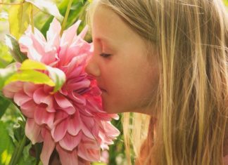 How Anosmia, or ‘Smell Blindness,’ Can Help Pinpoint COVID-19