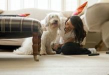 Evaluating Your Dog’s Health