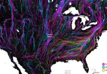Hypnotic, Interactive Map Predicts Migration as Animals Become Climate Refugees