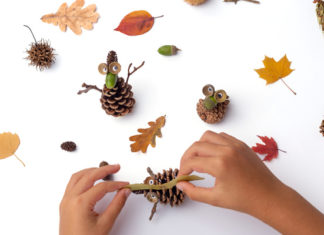 23 Pinecone Crafts and Experiments for All Ages and Stages