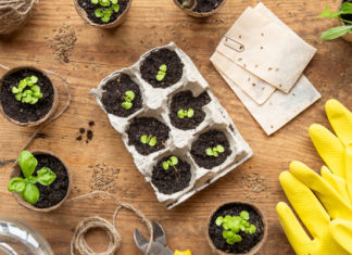 Save the Planet: 21 Earth Day Activities and Crafts for Kids