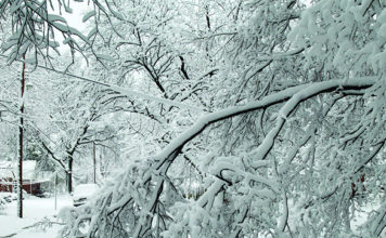 Prepare Your Family for Winter Weather